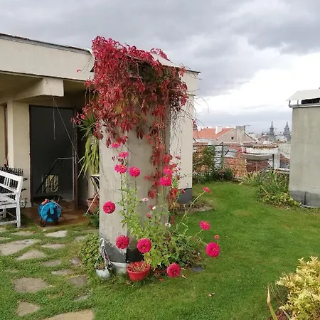 Button In Downtown Apartment