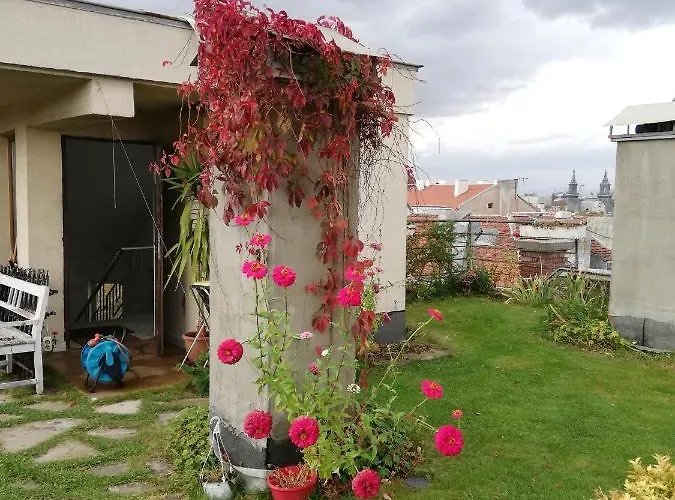 Button In Downtown Apartman